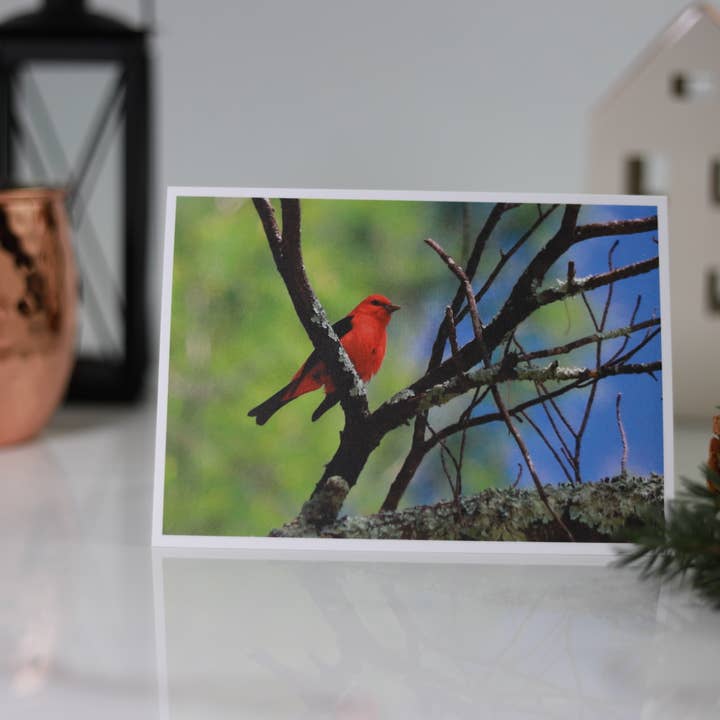 New England Prints - Wholesale Stationery/Notecard Set - Box of 5 All Occasion Majestic Bird Blank Note Cards5
