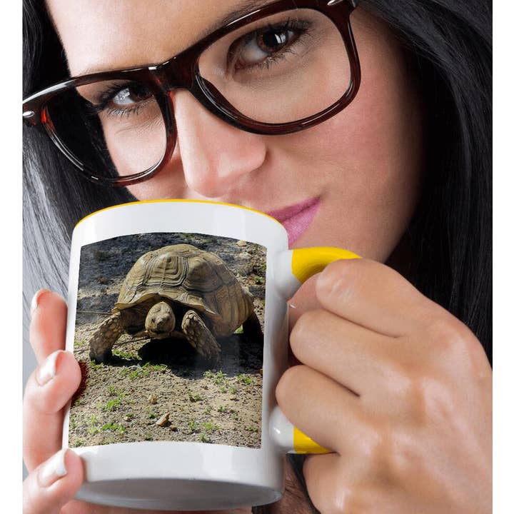3dRose - Wholesale Coffee Mug - 3dRose, Giant Turtle, Mug1