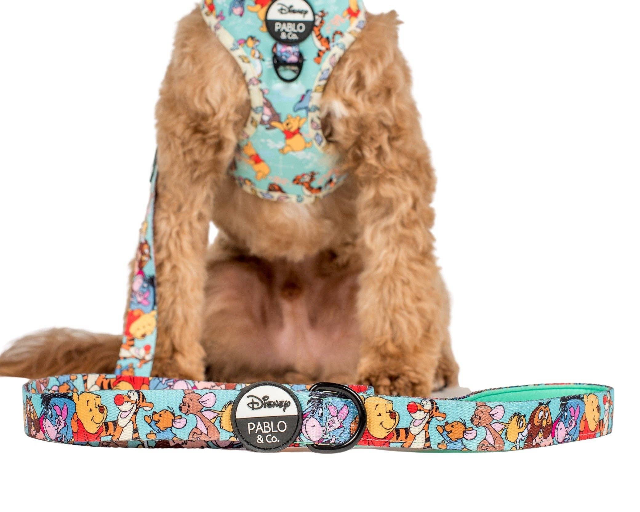 Pablo & Co. Boutique - Wholesale Pet Leash - Dog - Winnie the Pooh & Forest Friends: Dog Leash0