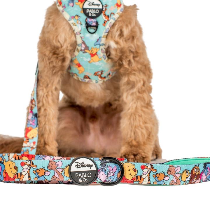 Pablo & Co. Boutique - Wholesale Pet Leash - Dog - Winnie the Pooh & Forest Friends: Dog Leash