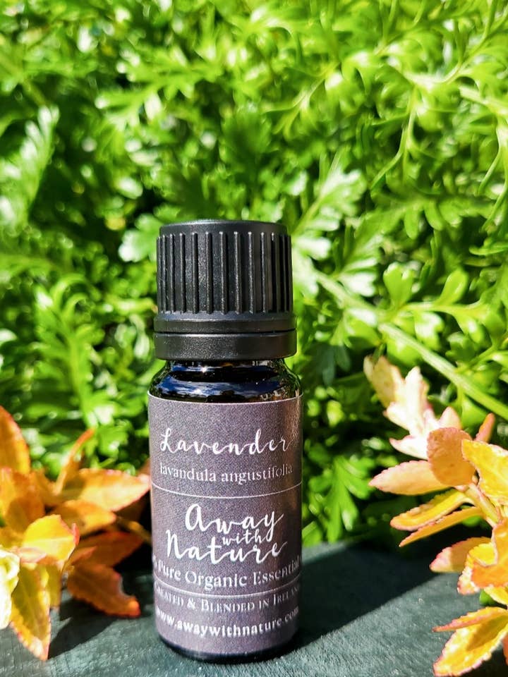 Essentials - Lavendel for engroshandel hos Away with Nature