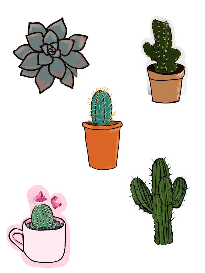 Cactus Sticker Set of 5 for wholesale by Akesonscreations