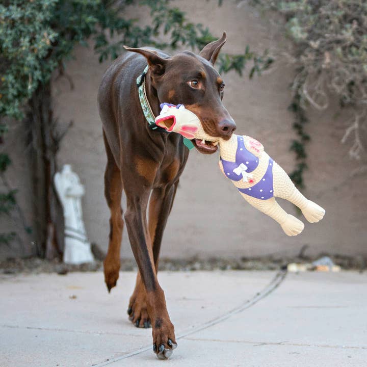 Playful Tail - Wholesale Pet Squeaky Toy - Dog - Charming Pets Barnyard Henrietta Squawker Dog Toy3