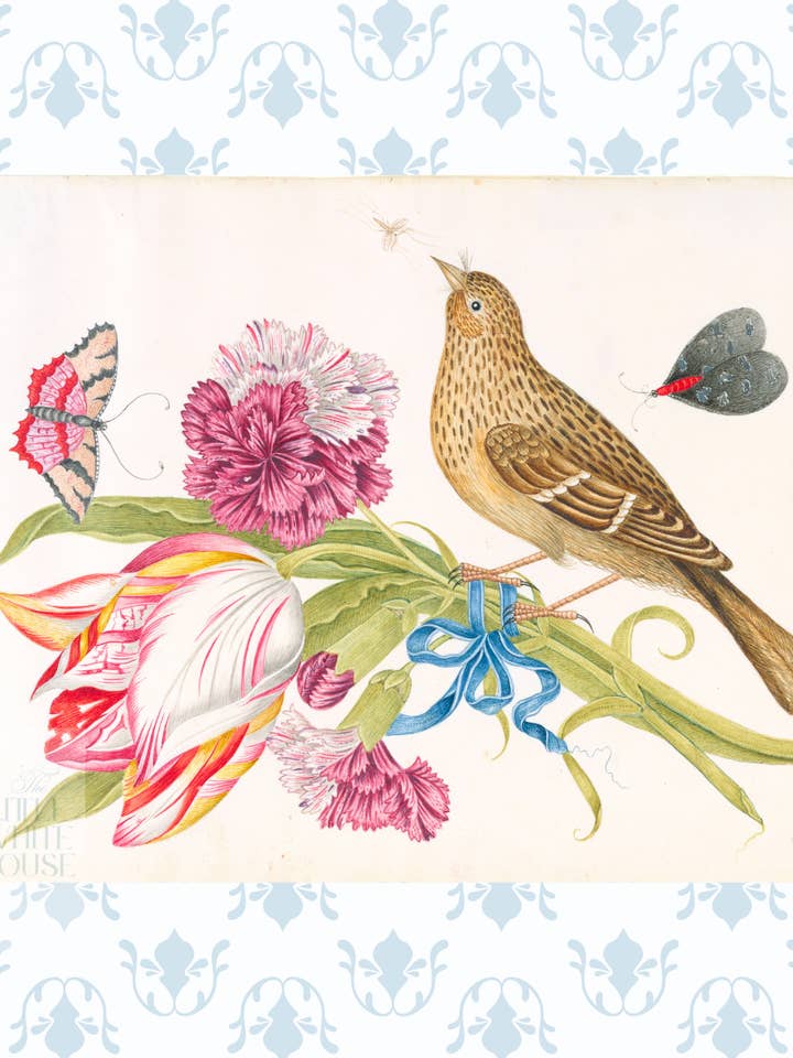 Étude botanique lumineuse, impression Giclée 11x14 : ÉTUDE 11 pour la vente par The Little White House