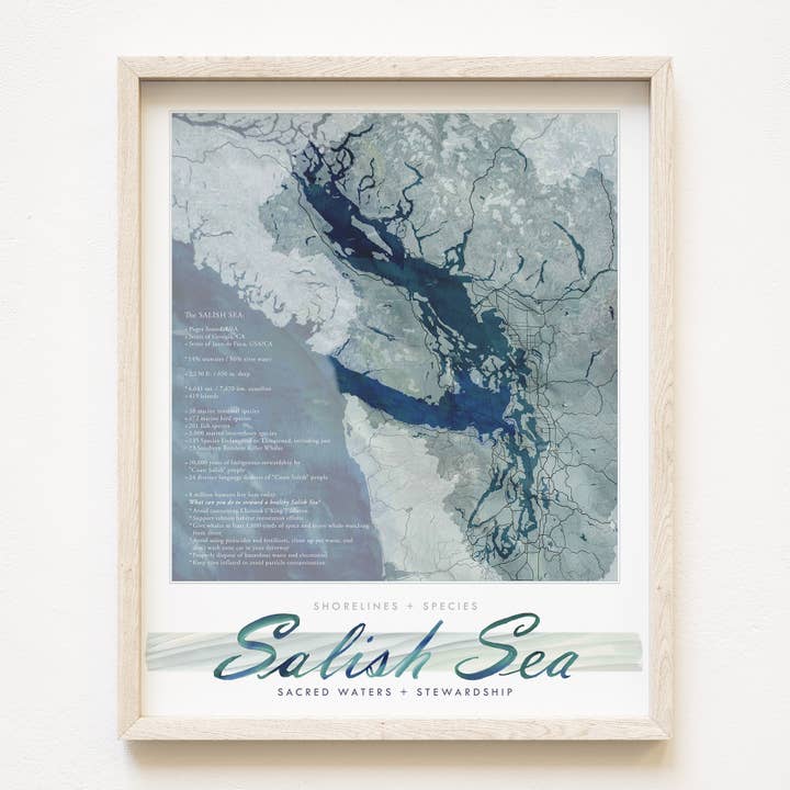 SALISH SEA Watercolor Map Art Print for wholesale by Turn-of-the-Centuries