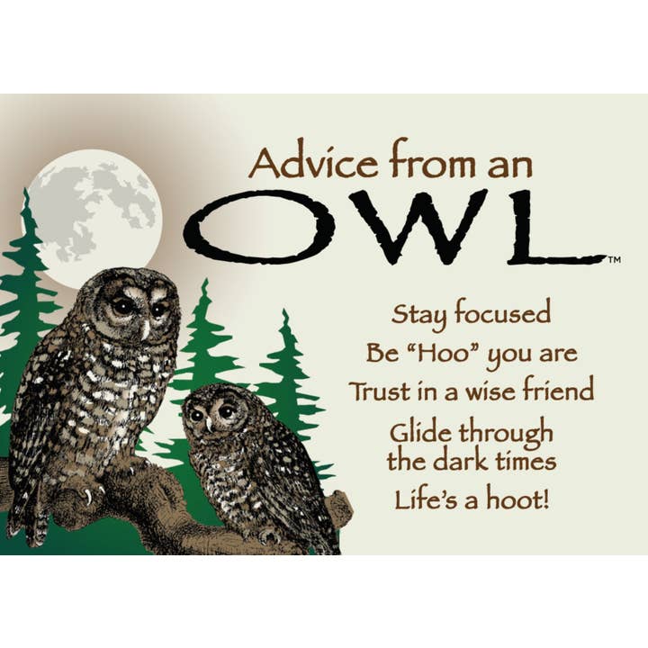 Advice from an Owl Jumbo Magnet for wholesale by Advice for Life by Your True Nature
