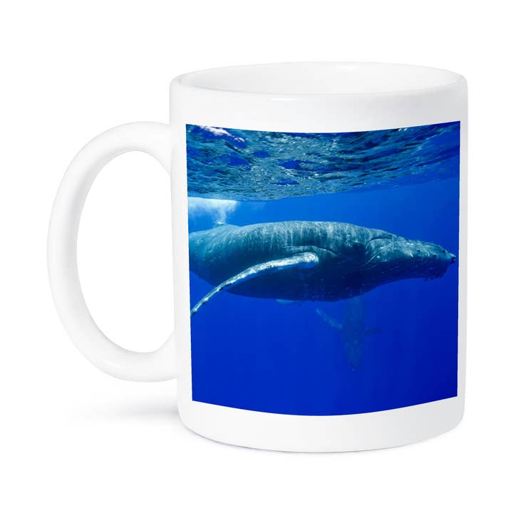 3dRose, Hawaii, Big Island, Megattera - US12 PSO0032 - Paul Souders, Tazza per la vendita all'ingrosso da parte di 3dRose