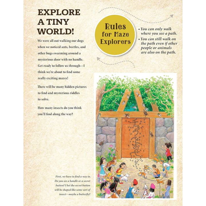 Fox Chapel Publishing - Wholesale Preschool Book (3-5) - Curious Quest - Hidden World of Insects-Seek-and-Find Mazes
2