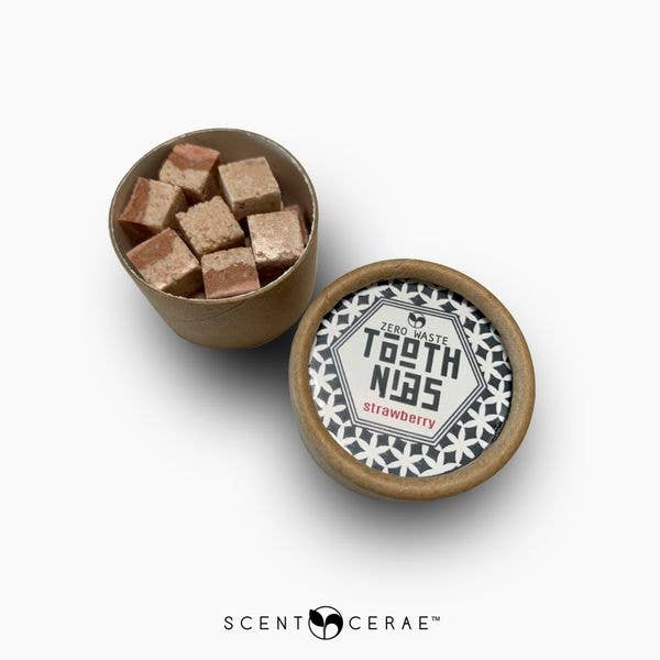 Scentcerae - Wholesale Toothpaste - Tooth Nibs Tins Zero Waste Solid Toothpaste8