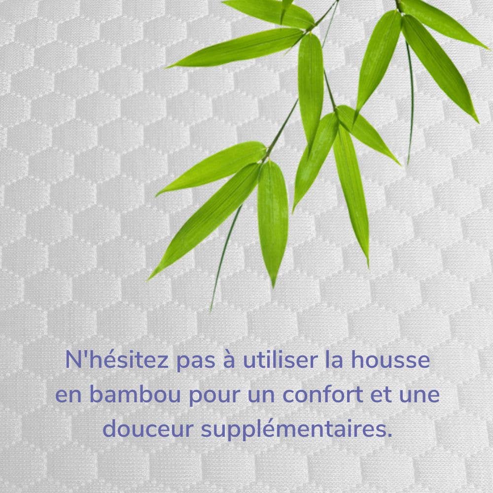 Inphysio - Vente Oreillers - Oreiller Ergonomique avec Taie d'oreiller de refroidissement | DUO PREMIUM15