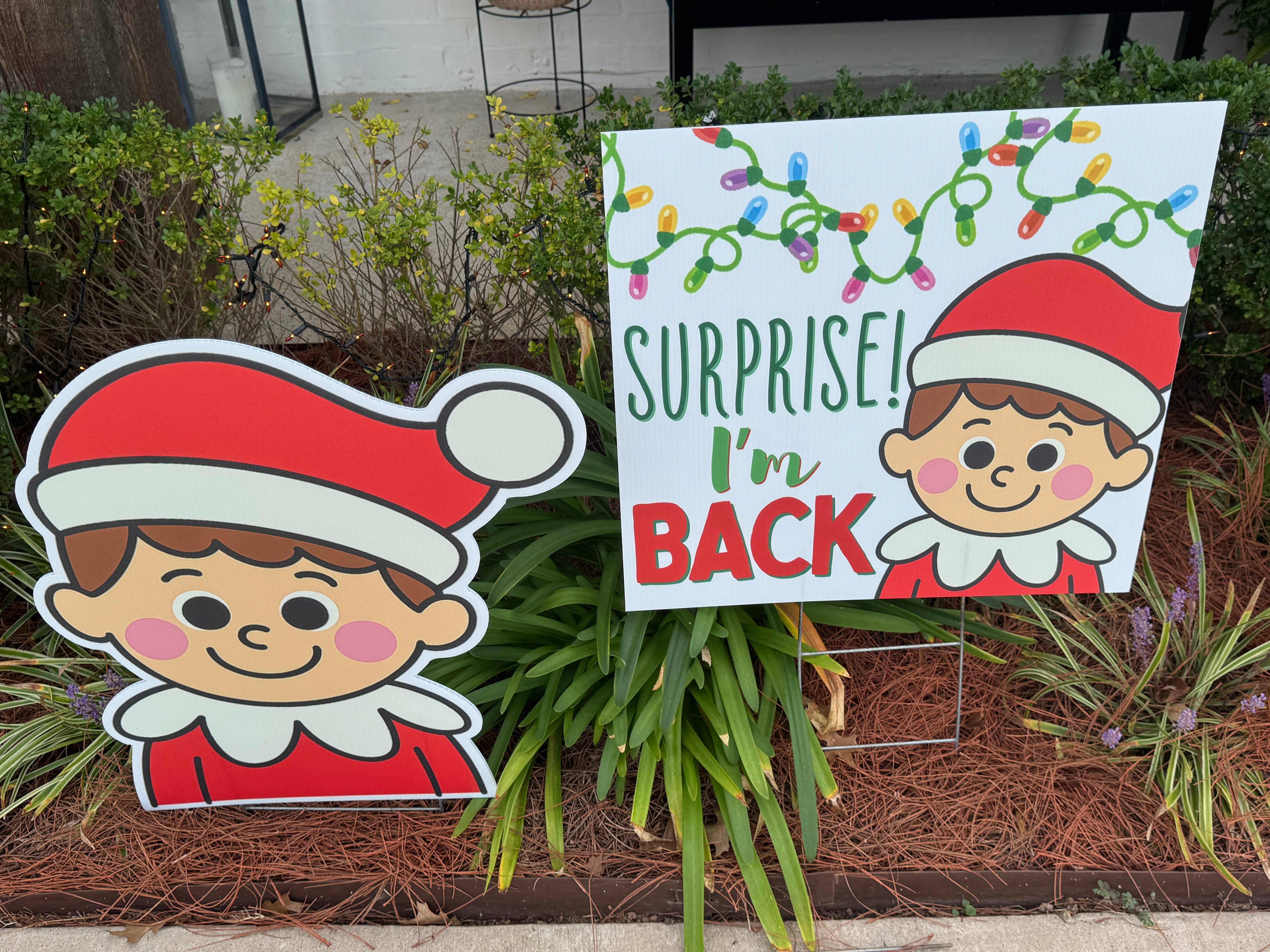 Lovely Reese – wholesale Outdoor sign – Surprise I’m Back 2