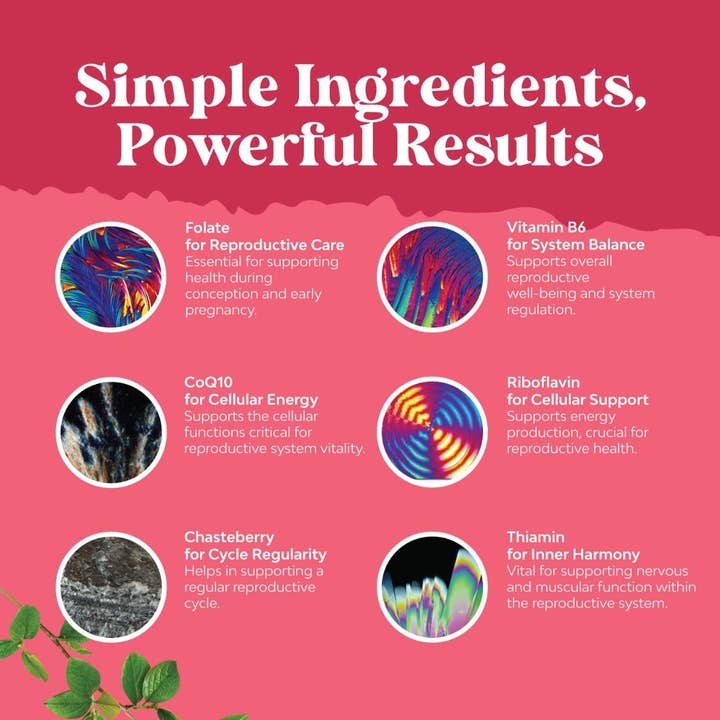 Nature's Craft - Wholesale Oral Supplement/Vitamin - Prenatal Multivitamin Supplement – Women’s Wellness, 180ct3