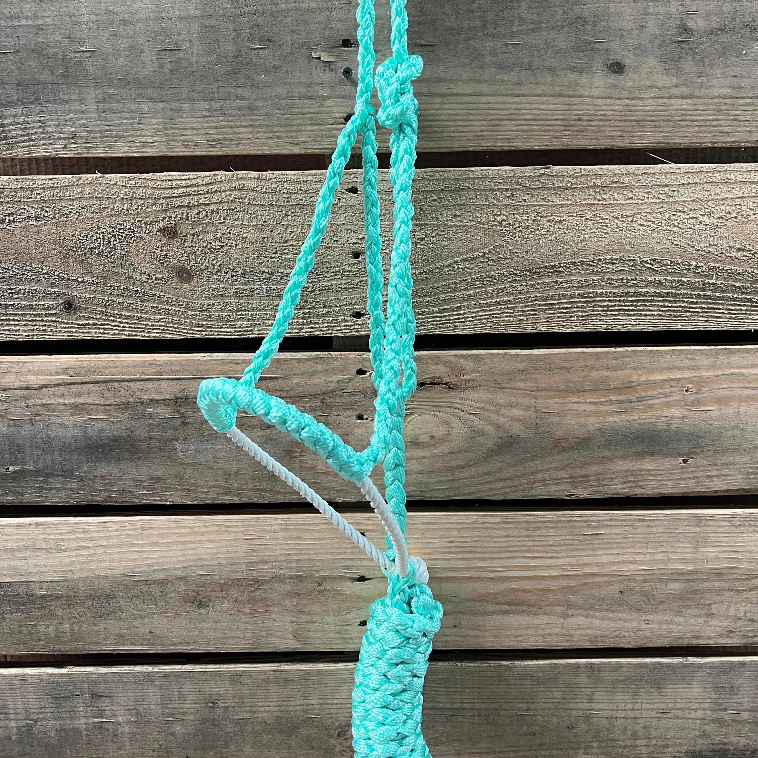 Rodeo Drive – Großhandel Reitausrüstung – Lariat Mule Tape Halfter, verschiedene Farben4