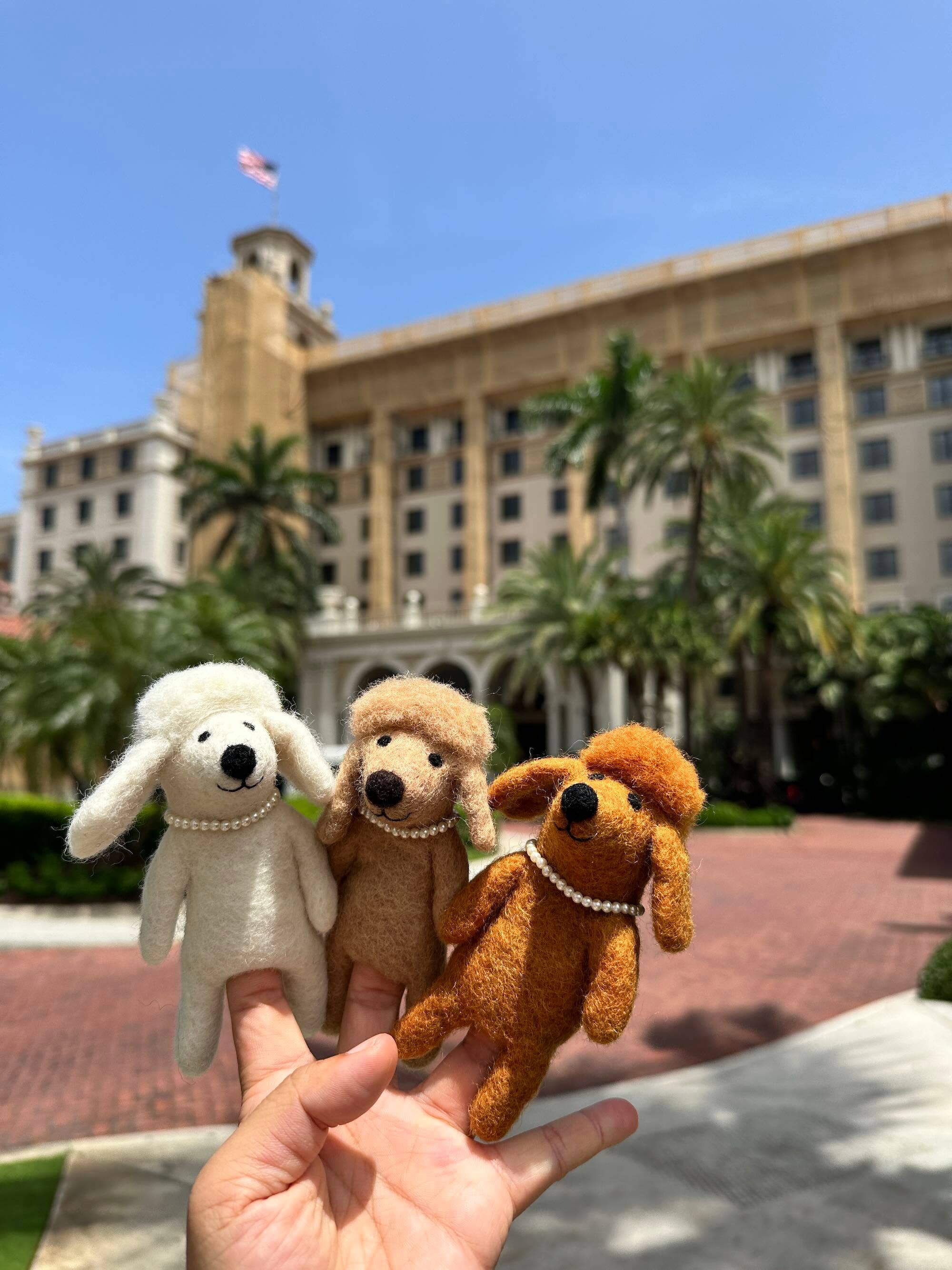 Ganapati - Vente Marionnette à doigt – enfant et bébé - Marionnette à doigts pour chien caniche4