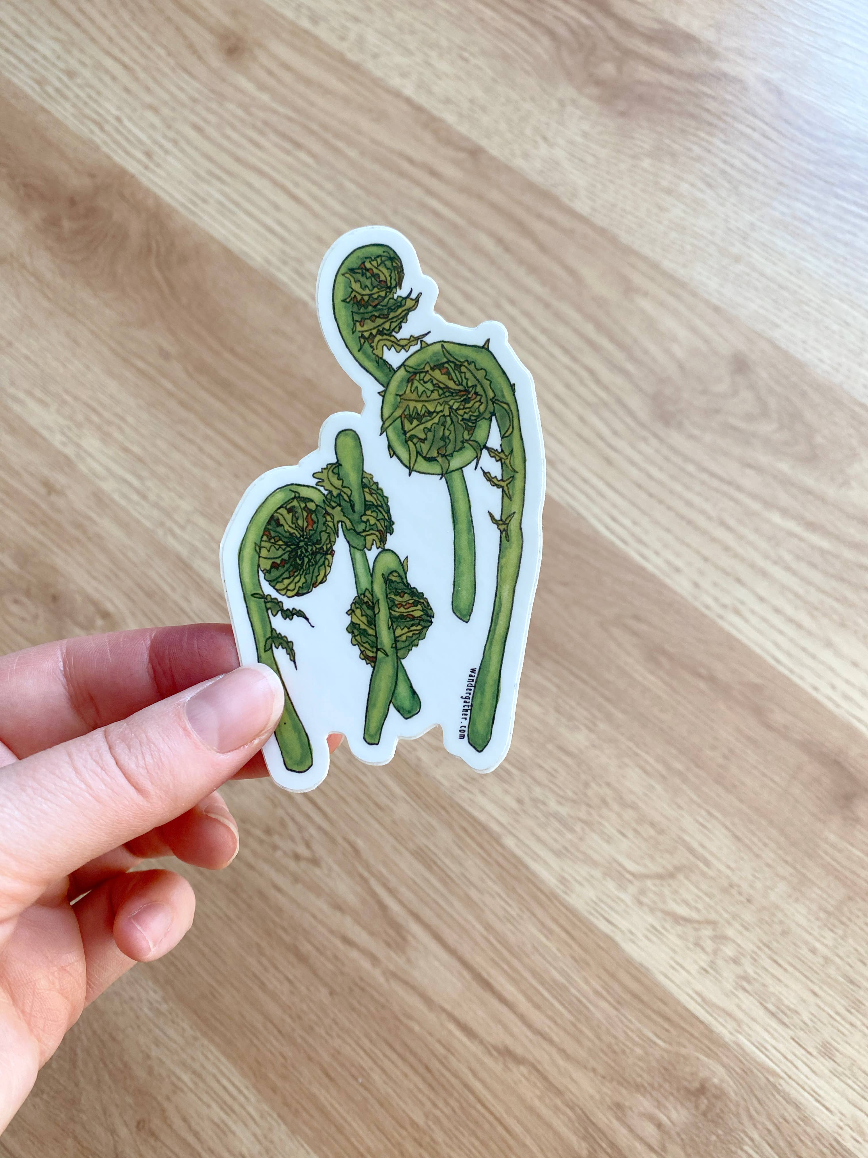 Wander & Gather - Wholesale Sticker - Fiddlehead Fern Native Plant Waterproof Sticker1