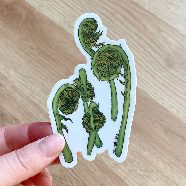 Wander & Gather - Wholesale Sticker - Fiddlehead Fern Native Plant Waterproof Sticker1
