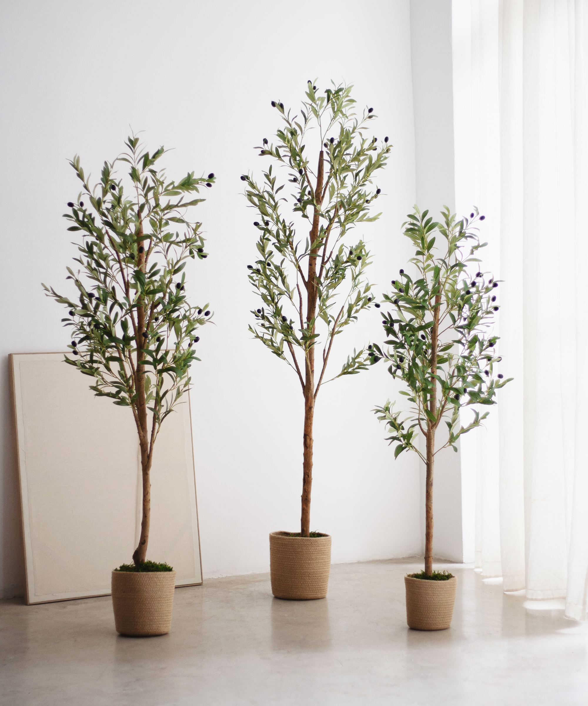Maia Shop: No Duties for the US - Vente Plantes artificielles - Arbre d'olivier artificiel minimal de 1,5 m4