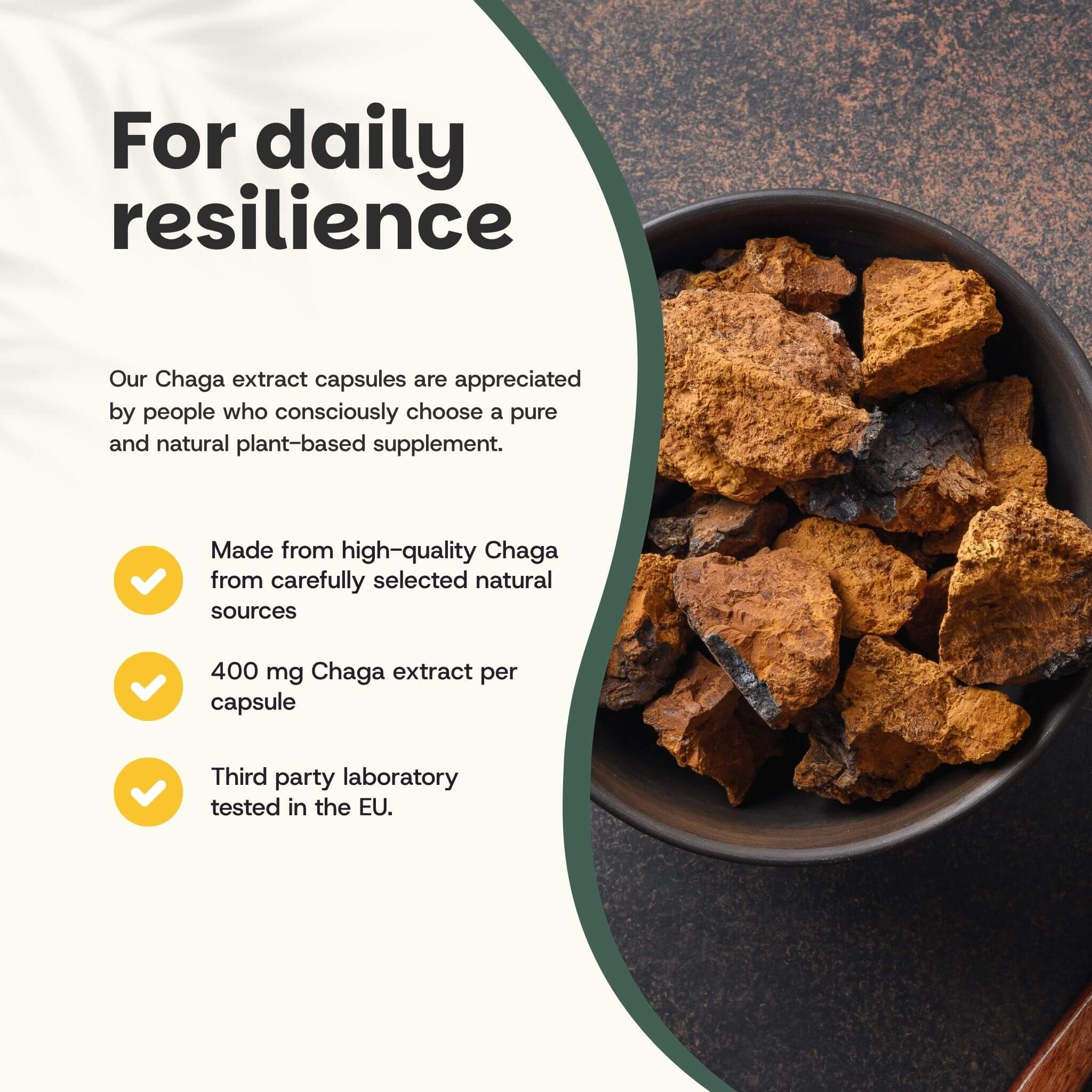 Cupplement b.v. - Wholesale Oral Supplement/Vitamin - Chaga Extract Capsules 400mg Organic  60 Capsules1