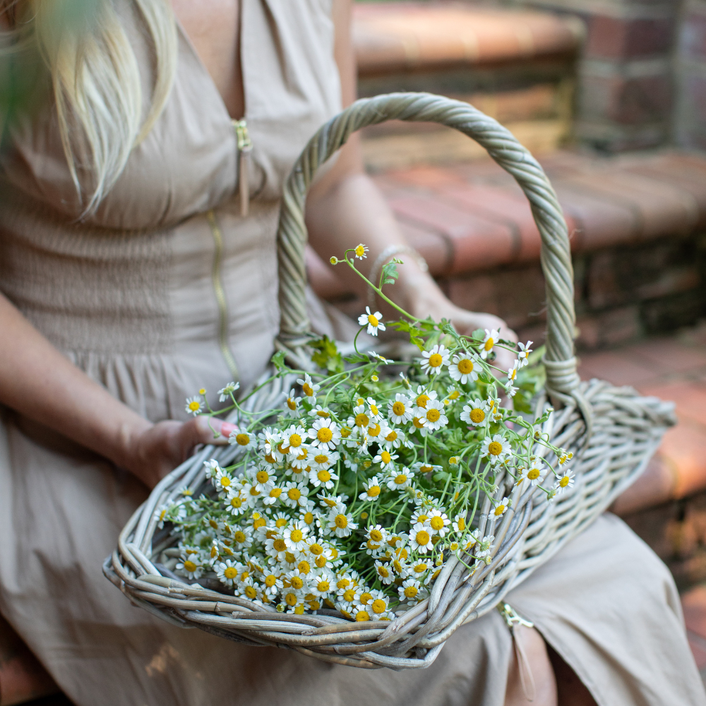 Basketly - Vente Paniers - Panier Trug de Jardin en Rotin2