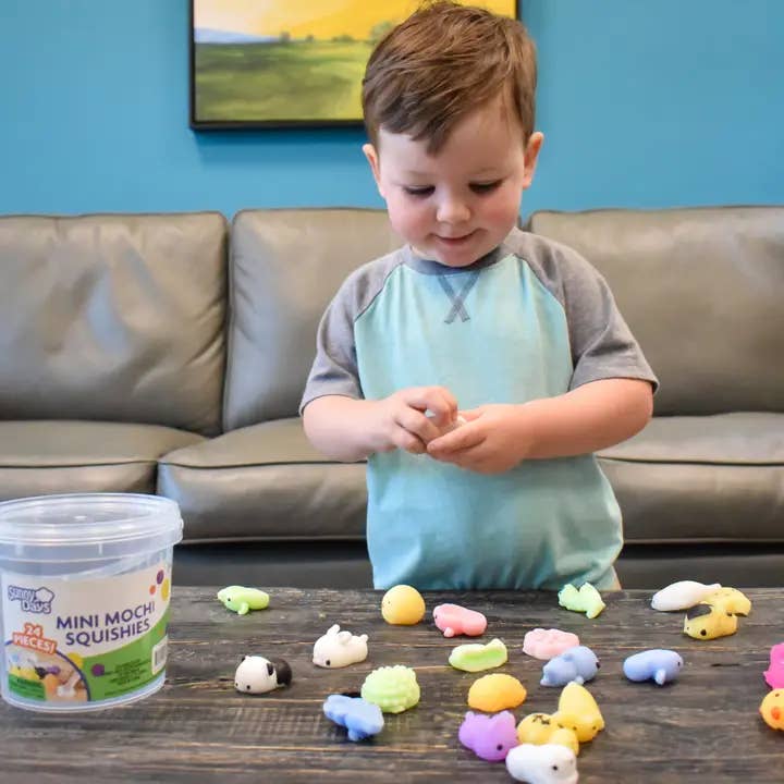 Variety Distributors - Wholesale Toy Set - Kids - Sunny Days Mini Mochi Squishies - 24 Piece Fidgets container