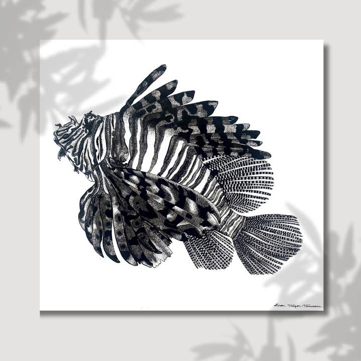 The Rascasse for wholesale by Lison Trépos-Tanneau