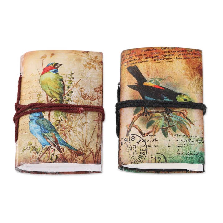 Mini-journaux en papier Novica Spring Songbirds (lot de 2) pour la vente par NOVICA