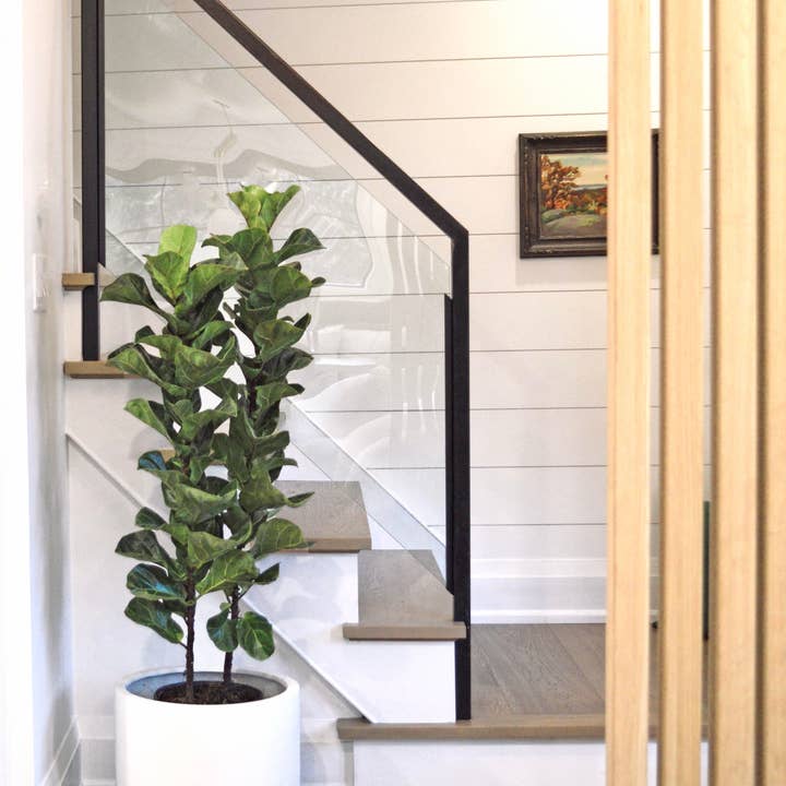 Common House Studio - Wholesale Plant Pot - FLUTED BASE PEDESTAL POT | PLANTER1