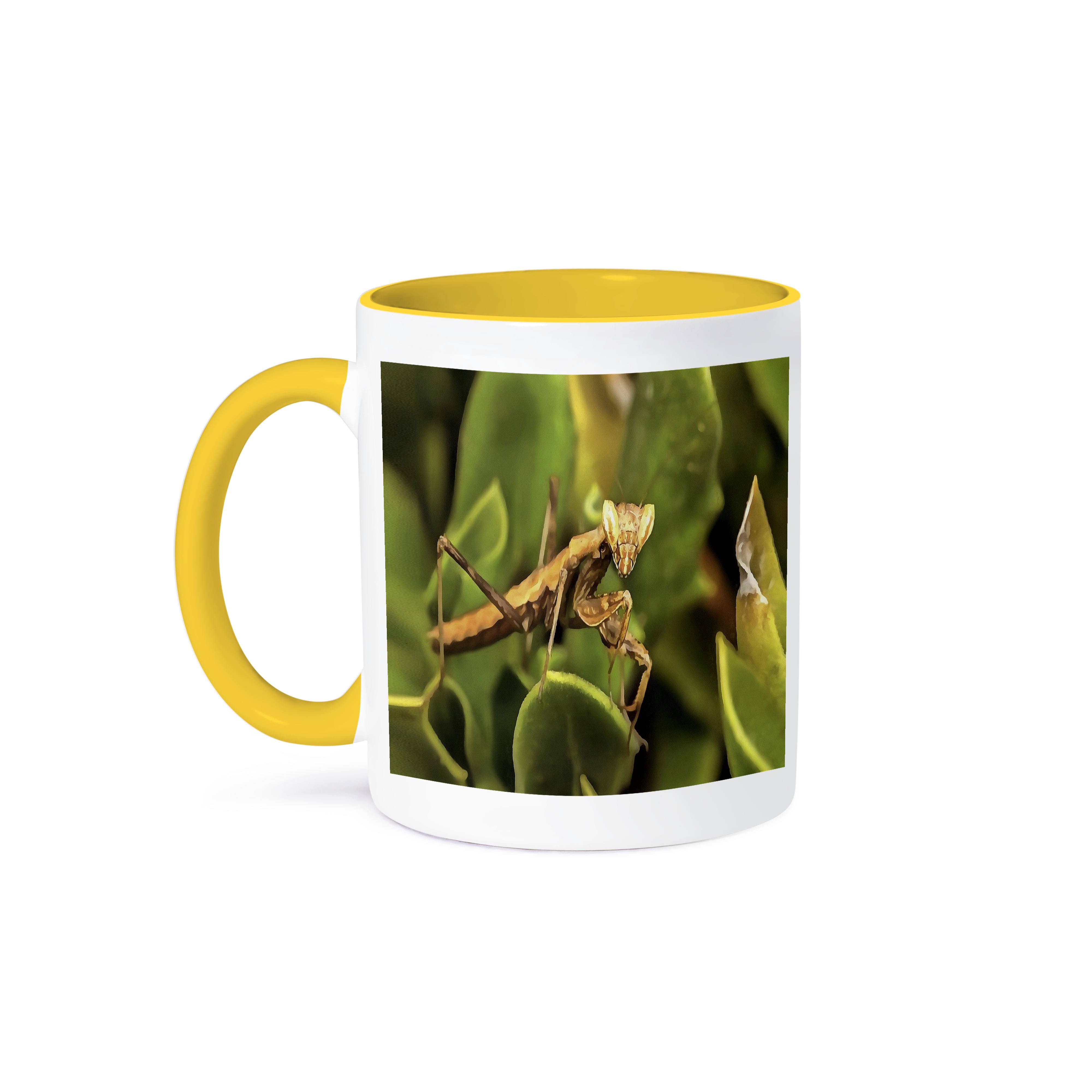 3dRose – wholesale Coffee mug – 3dRose, Praying Mantis On Green Garden Background, Mug0