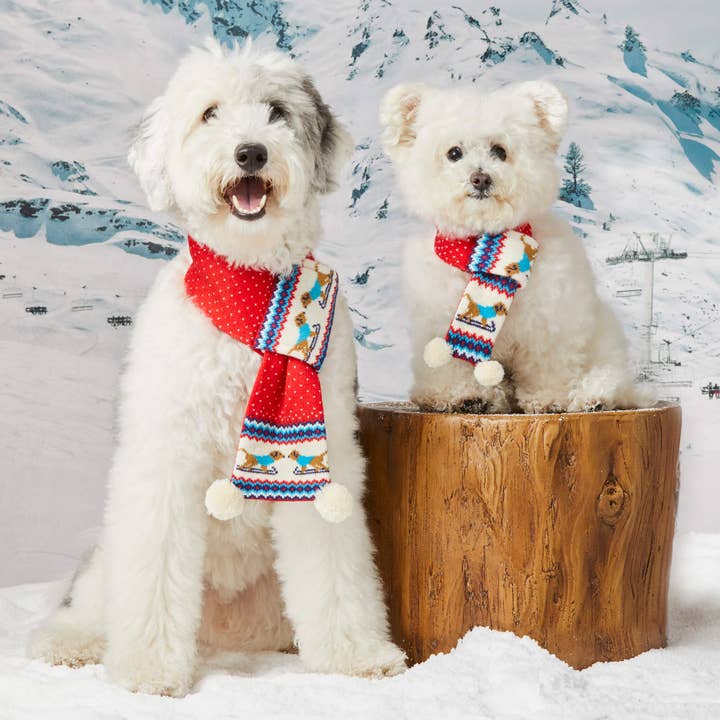 The Foggy Dog - Wholesale Pet Scarf - Cat/Dog - Gray Malin x TFD Hit the Slopes Knit Holiday Dog Scarf