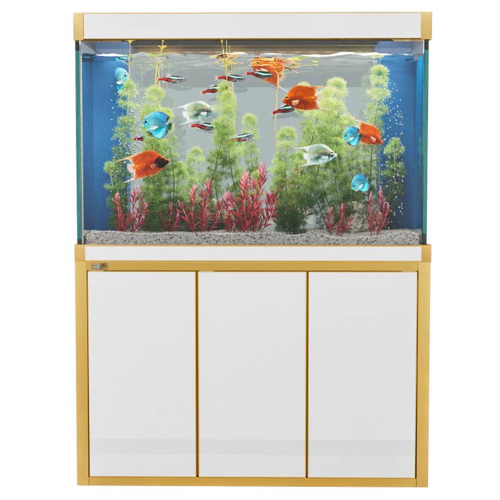 Aqua Dream Acuario de Vidrio Templado de 135 Galones Blanco y Dorado para venta al por mayor de AQUA DREAM