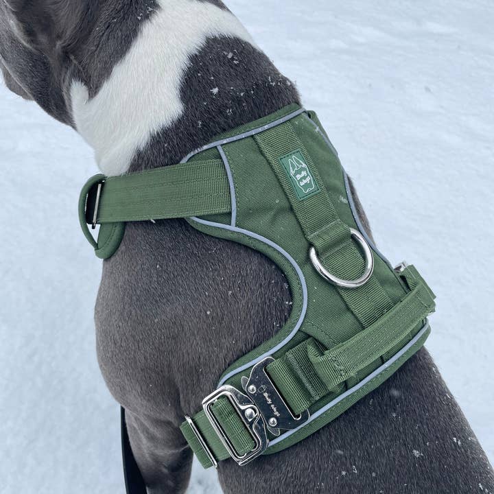 Heavy-Duty Everyday Harness - Cactus Green for wholesale on Faire