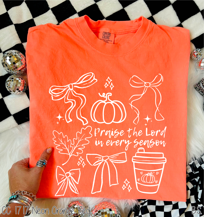 Bama Screens - Wholesale Screen Printed T-Shirt - Women's - Semi-Exclusive Praise The Lord Fall #BS83264