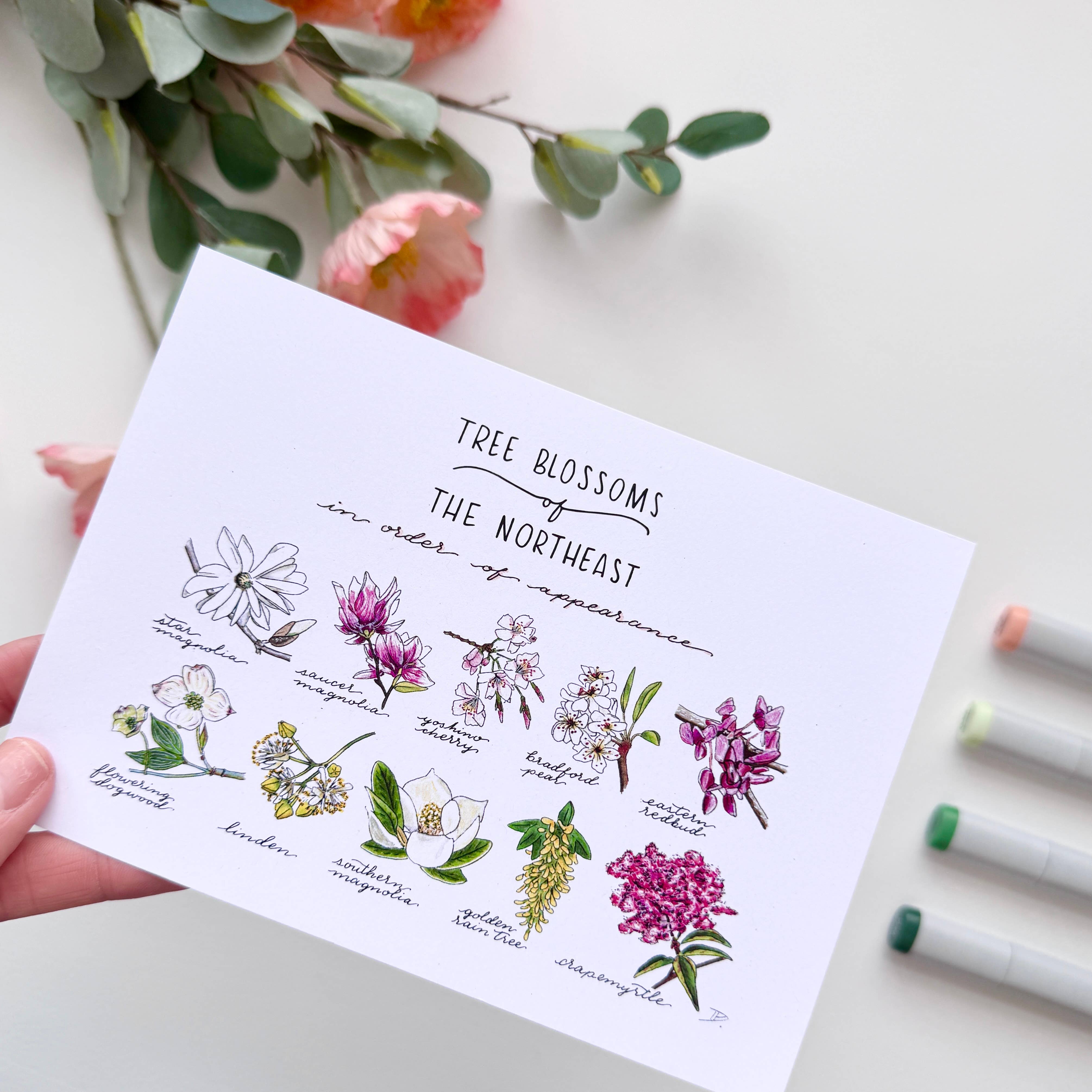 D. Prince Designs - Wholesale Art Print - Tree Blossoms of the Northeast | Recycled Cardstock Print6