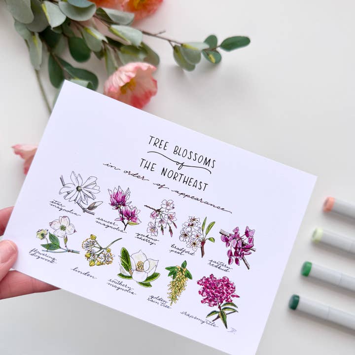 D. Prince Designs - Wholesale Art Print - Tree Blossoms of the Northeast | Recycled Cardstock Print6