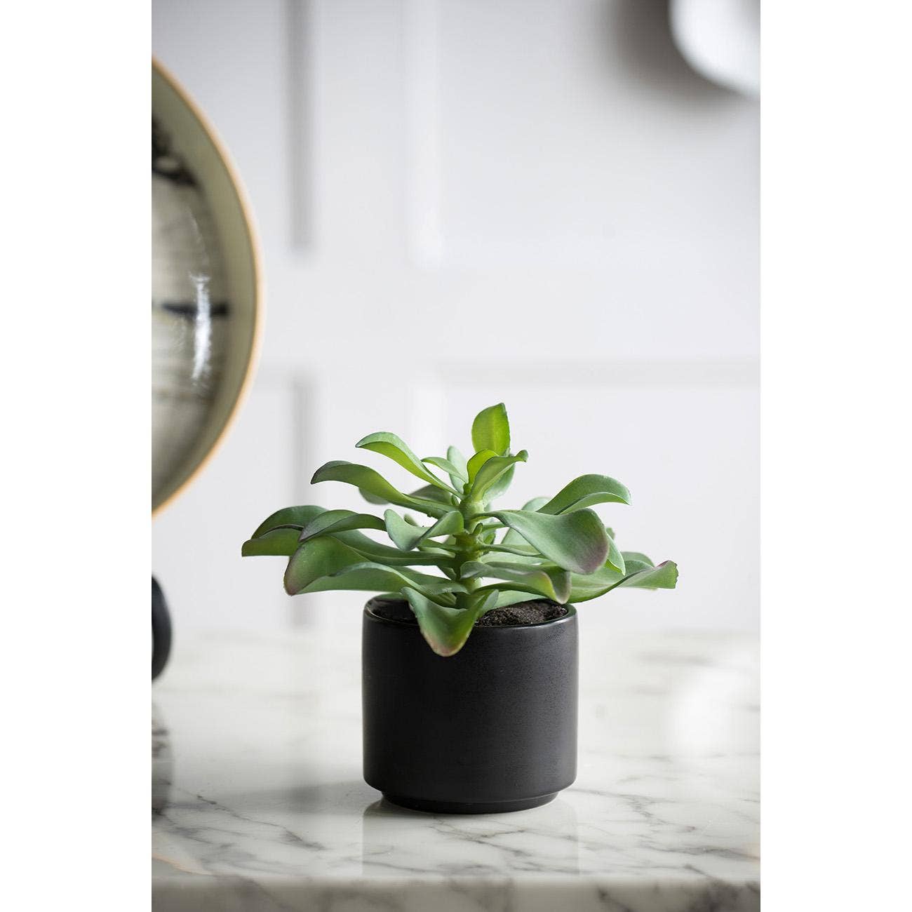 A&B Home Group Inc. – wholesale Artificial plant – Potted Succulent3