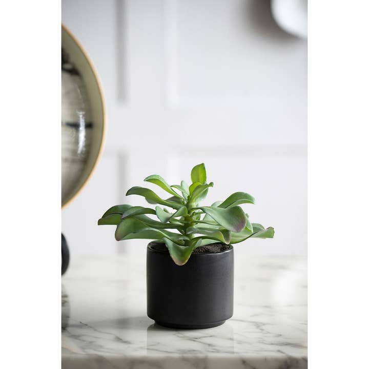 A&B Home Group Inc. – wholesale Artificial plant – Potted Succulent3