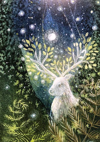 Hannah Willow Art - Wholesale Everyday Greeting Card - The Magic in the Woods Greetings Card1