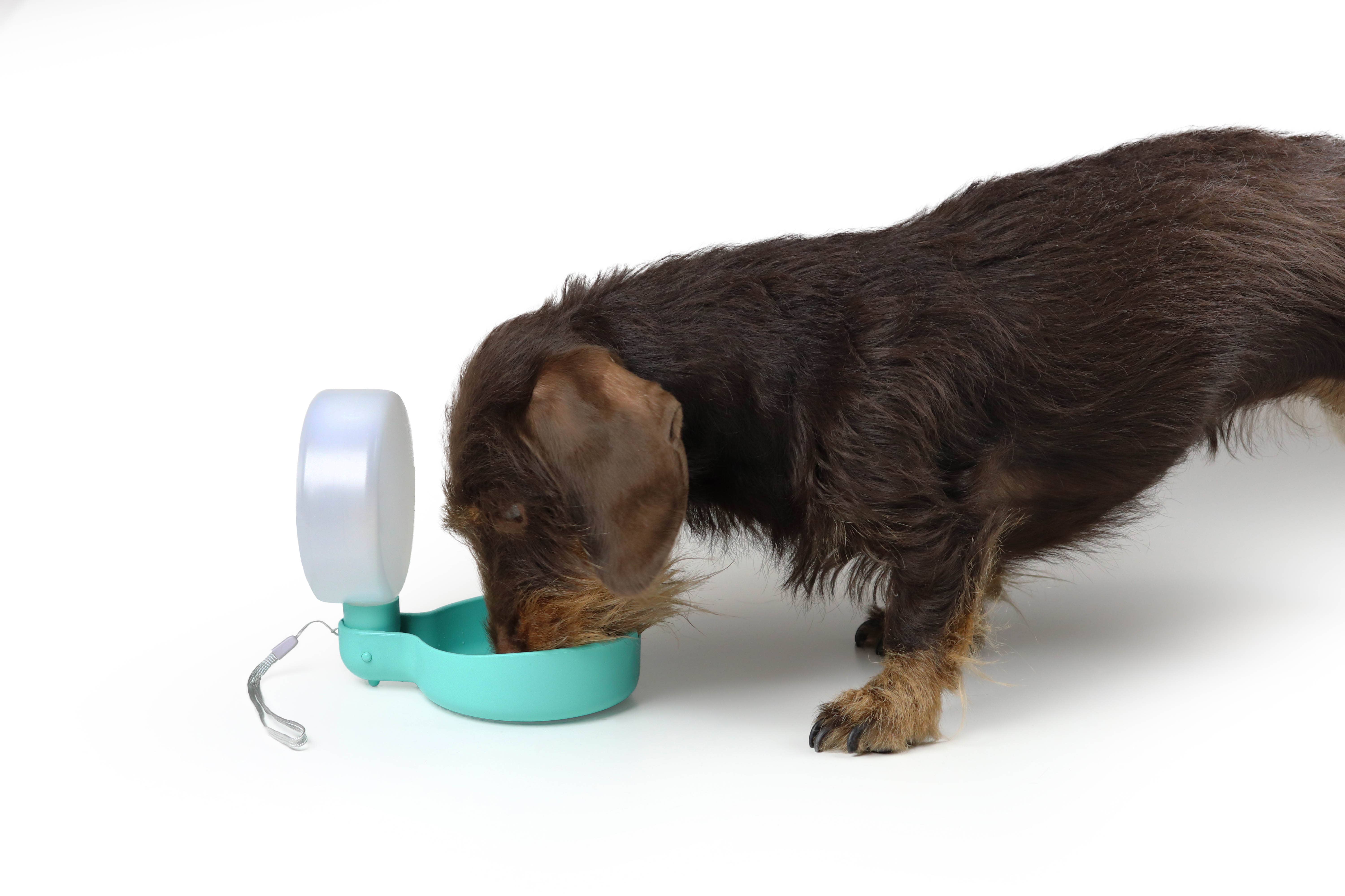 United Pets – wholesale Pet water bottle – Dog – Designer travel bottle with drip valve10