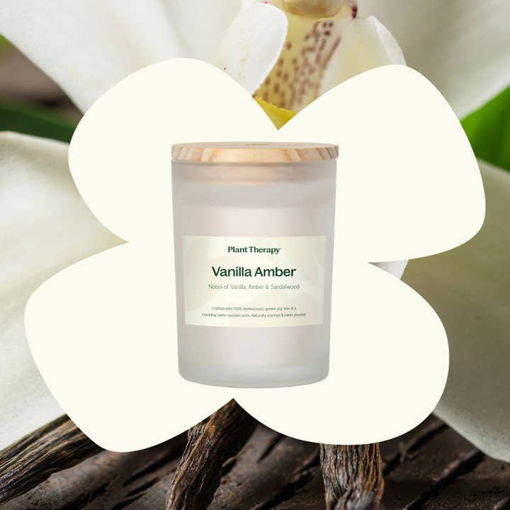 Plant Therapy - Wholesale Jar/Filled Candle - Vanilla Amber Naturally Scented Candle 8 oz
