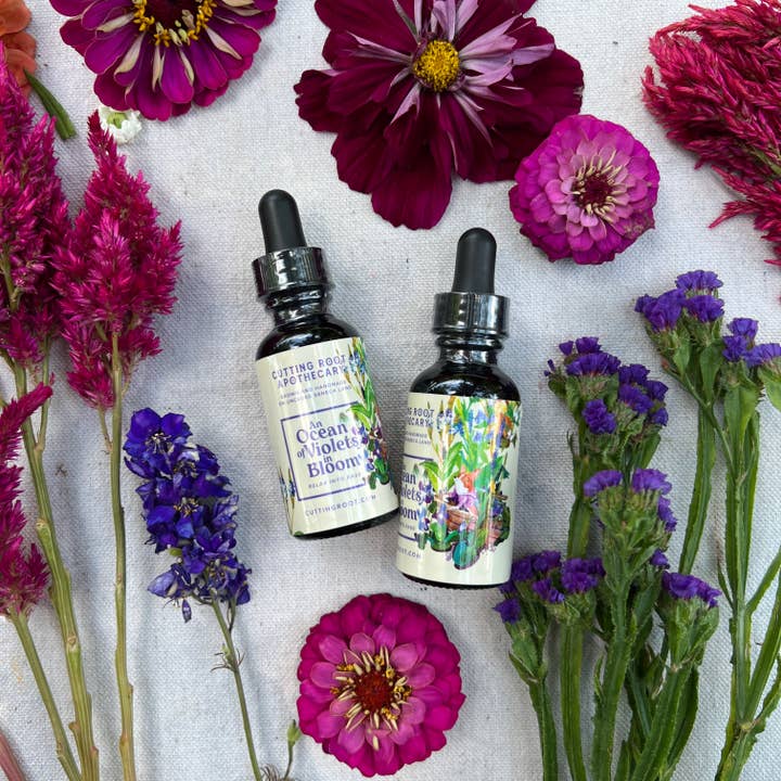 An Ocean of Violets for wholesale by Cutting Root Farm