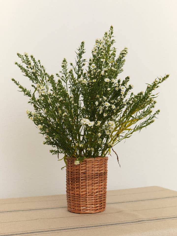 Vaso cilindrico in vimini naturale per la vendita all'ingrosso da parte di Eturel Madrid