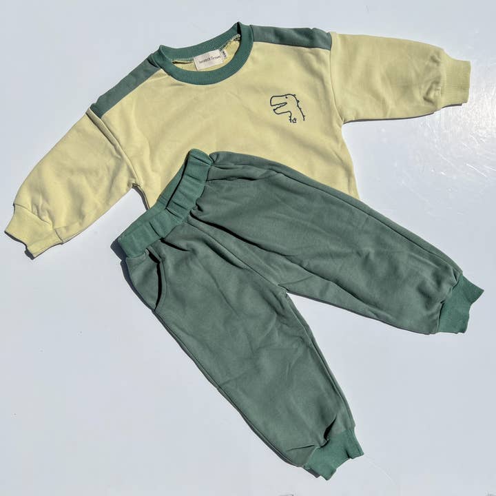 T-Rex - Grøn Farve Block Sweat Sæt for engroshandel hos Wonder Dreams