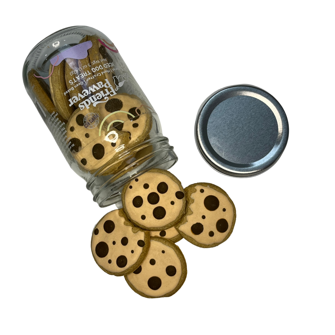 Friends Pawever - Wholesale Pet Treats - Dog - Iced Dog Cookie Jar1