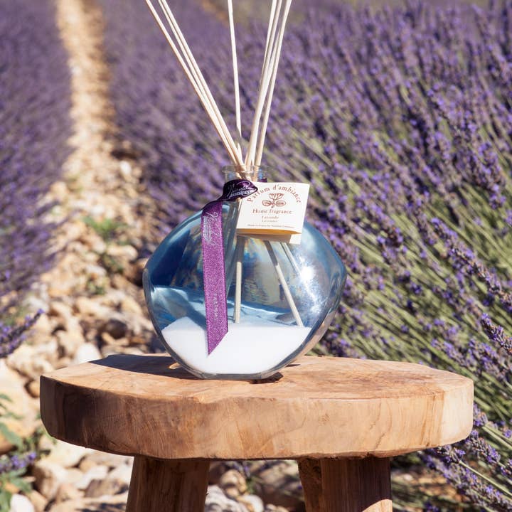 Nicolosi Créations - Wholesale Reed Diffuser - Culbuto 400ml room diffuser (43 scents available)17