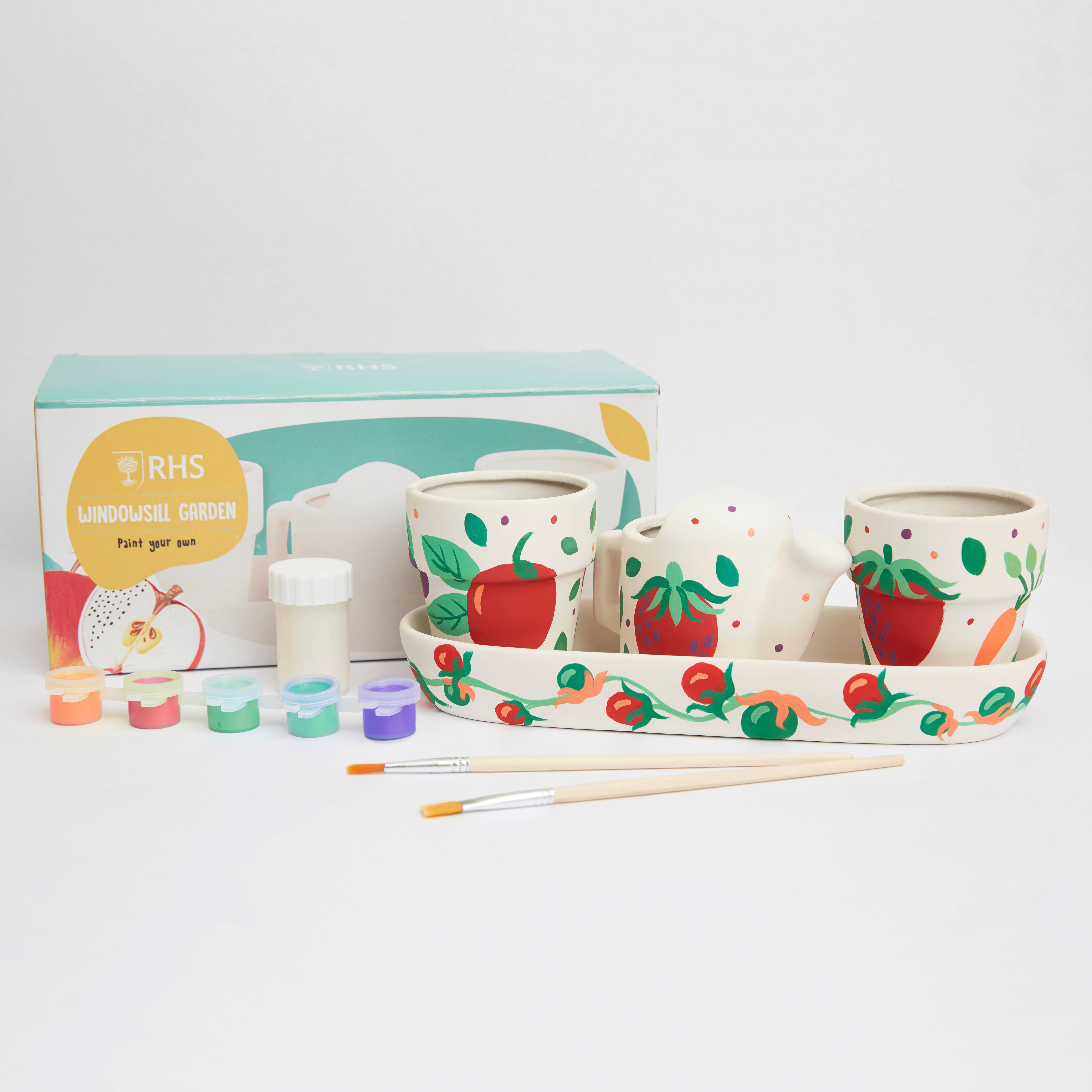 West Design Products – Pintura/desenho por atacado – RHS Paint Your Own Set, Branco, Kit de Artesanato, Janela para Jardim9