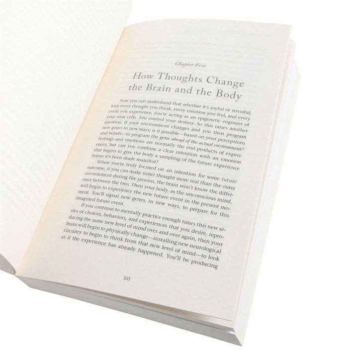 Something Different Wholesale - Wholesale Book - Adult - You Are the Placebo by Dr. Joe Dispenza
