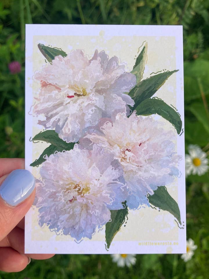 Cartão Postal A7 #0009 por atacado de Wildflower Oslo