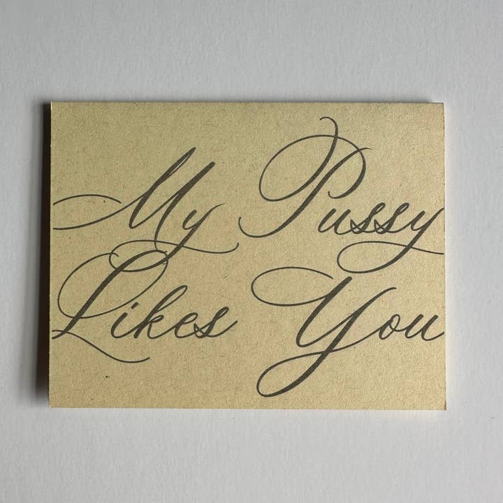 Kaart: My Pu**y Likes You voor wholesale door Any Key Press Inc