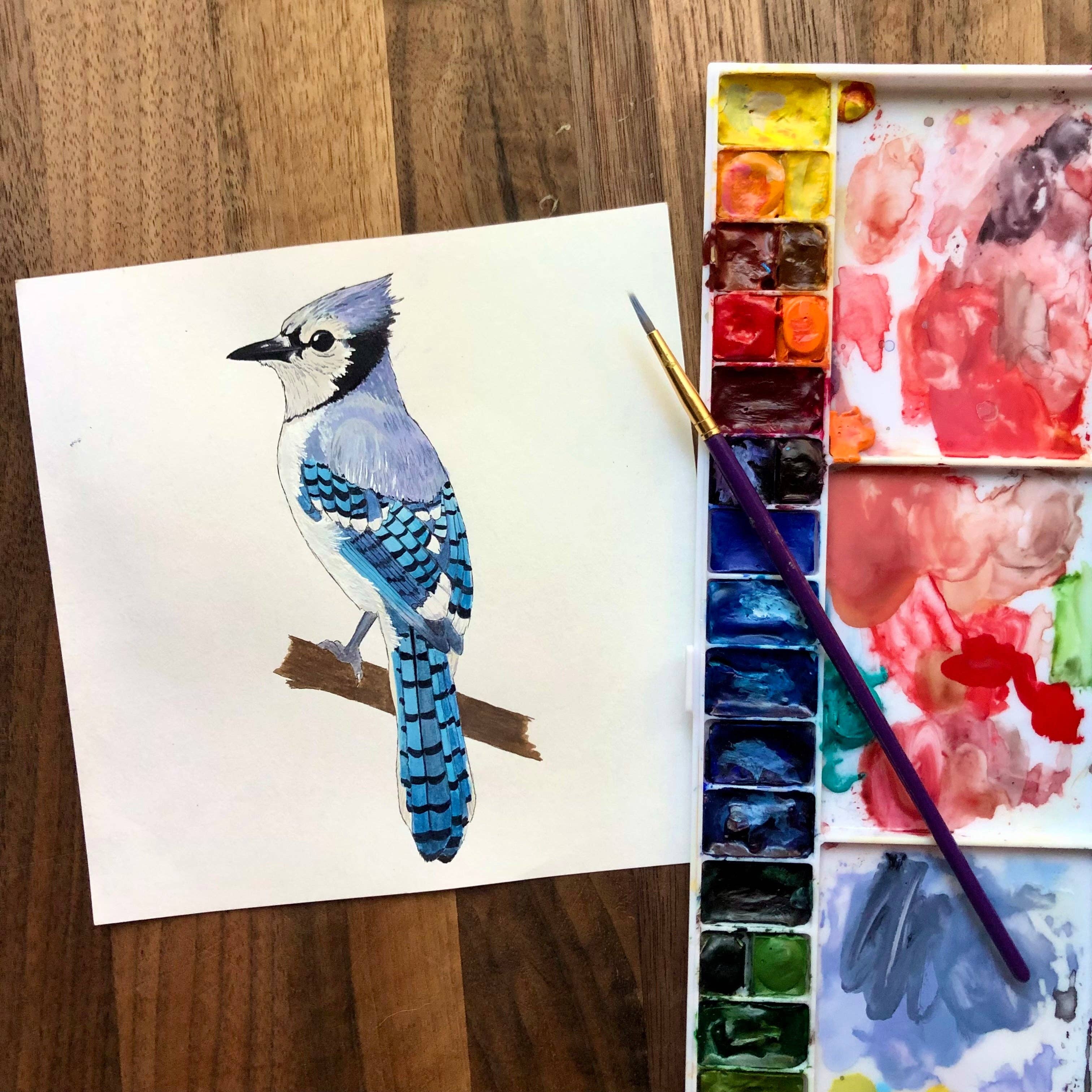 YubaCat Designs - Wholesale Sticker - Blue Jay Sticker1
