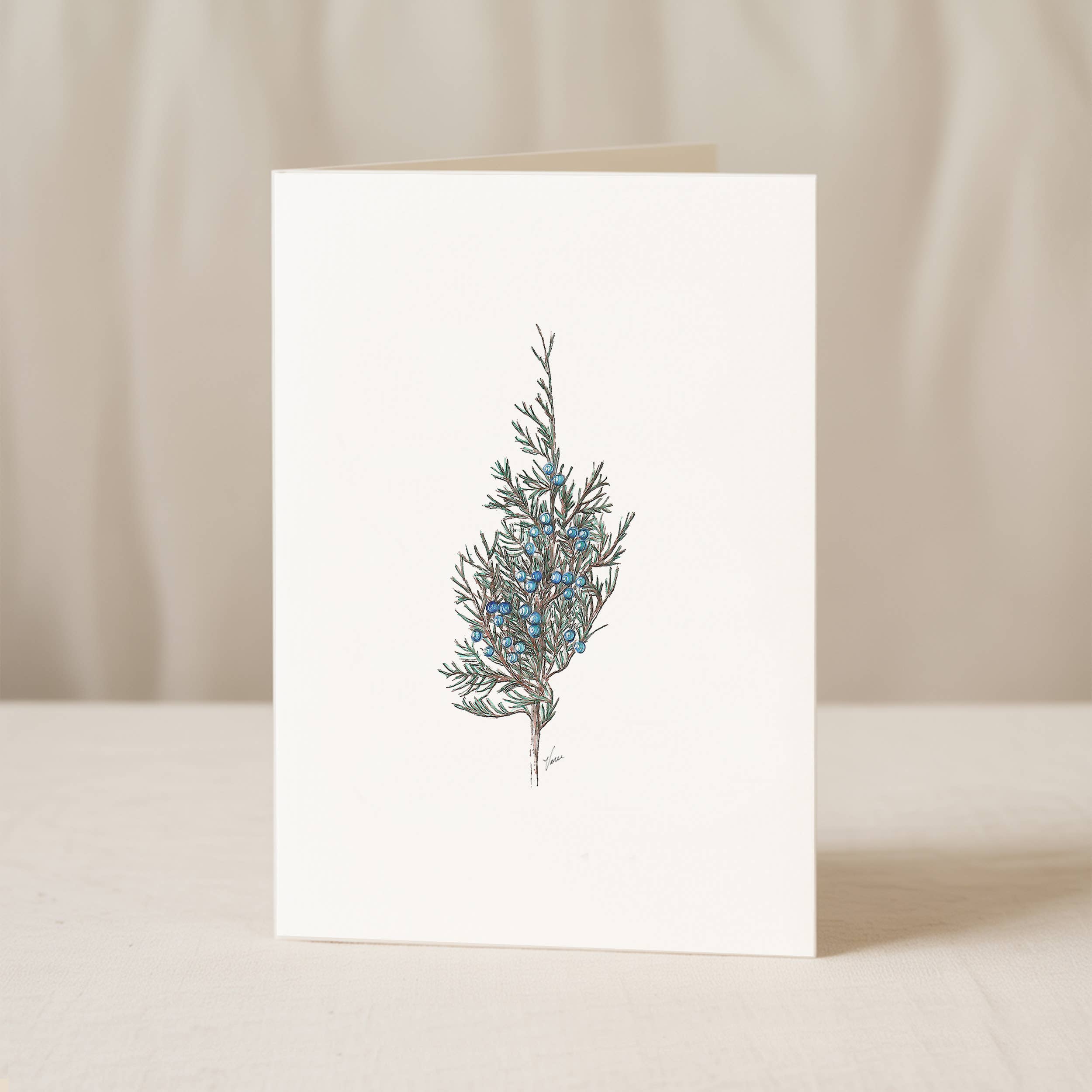 Vanee.ink - Wholesale Stationery/Notecard Set - Juniper Notecard3